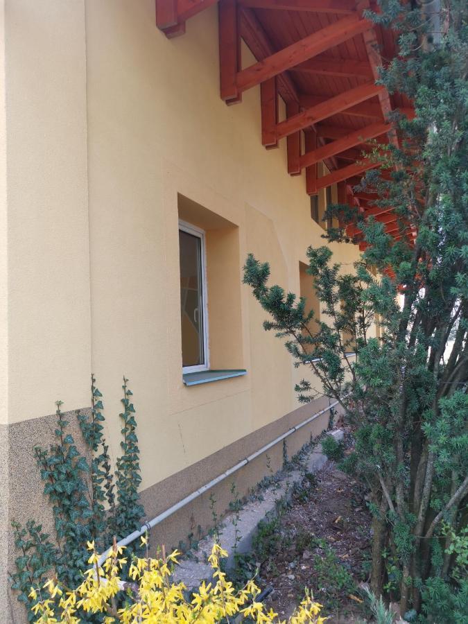 Podlovics Tanya Apartment Kemecse Bagian luar foto