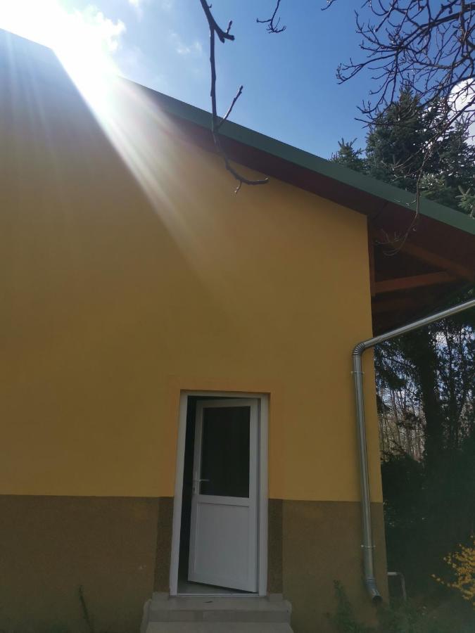 Podlovics Tanya Apartment Kemecse Bagian luar foto