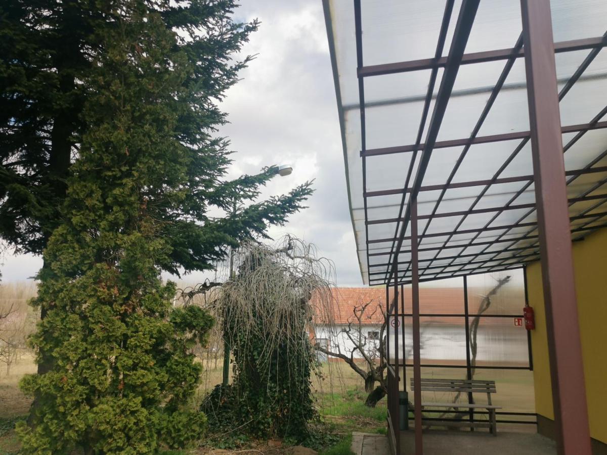 Podlovics Tanya Apartment Kemecse Bagian luar foto
