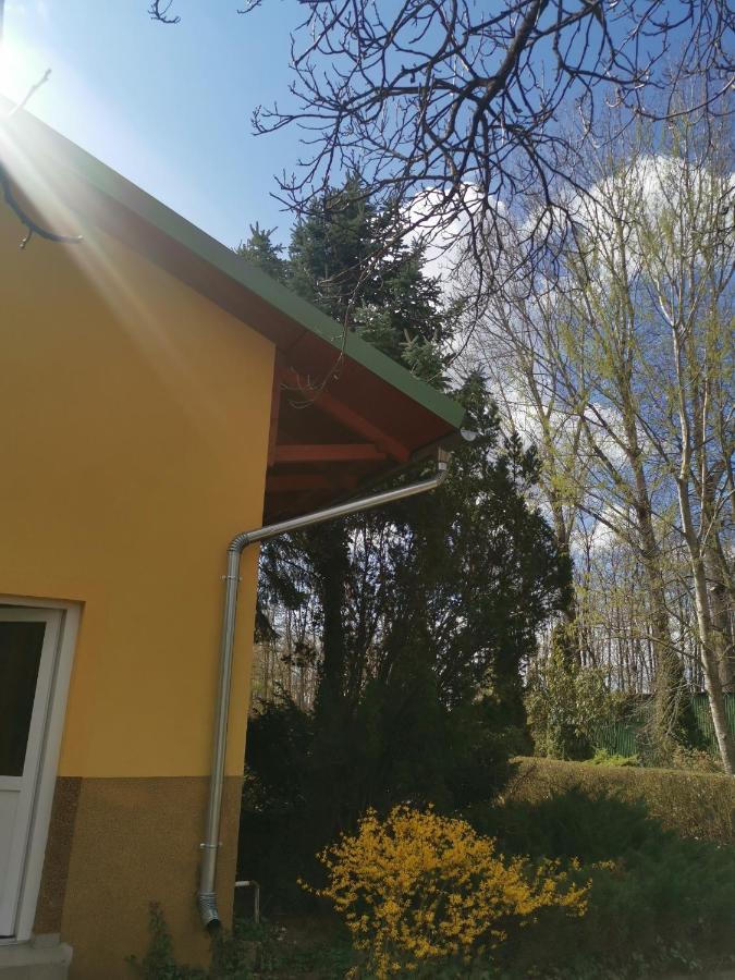 Podlovics Tanya Apartment Kemecse Bagian luar foto