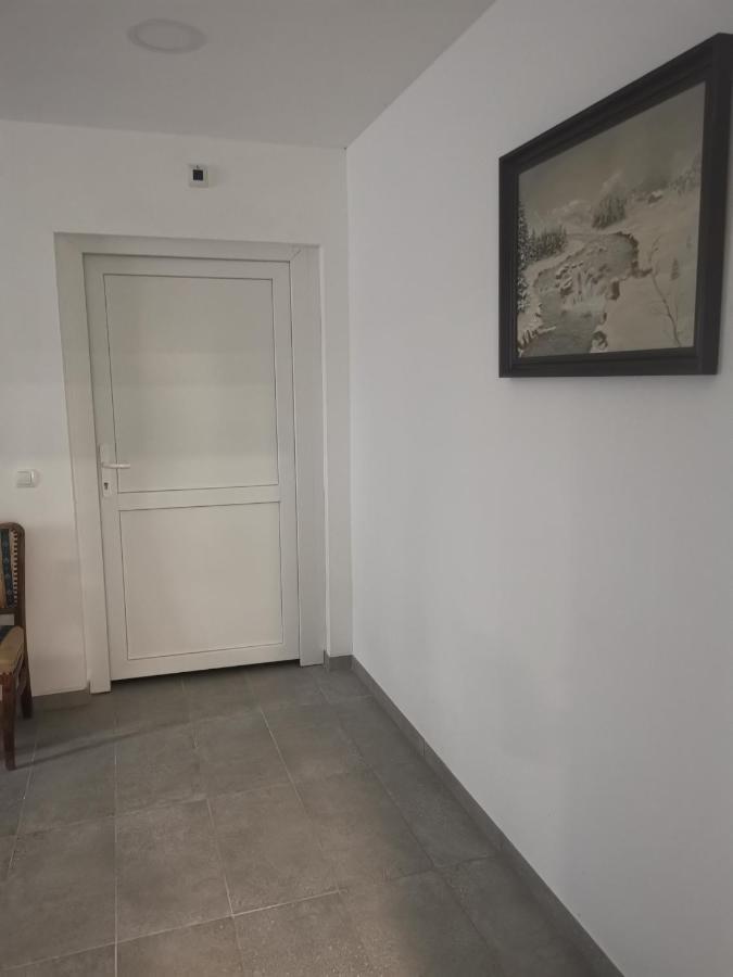Podlovics Tanya Apartment Kemecse Bagian luar foto